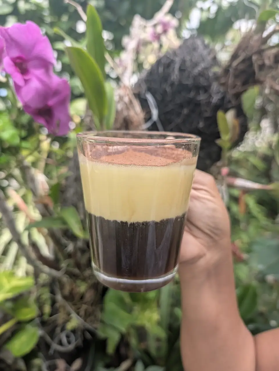 Kamay na may hawak na patong-patong na maitim na kape na may maputlang foam sa harap ng mga tropikal na bulaklak